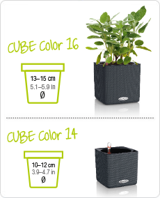 CUBE Color tamaños